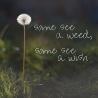 haiku