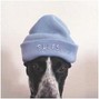 blues - bottom.shelf