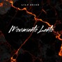 Lily Skies - Movimiento Lento