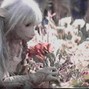 prodchoicebeats - desire