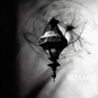 RAMIR - INTAXIS 