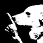 roscoe - untitled