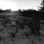 MSquaredJ - 20201229