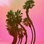 Bluff Gawd - "palm trees" La Reezy x Mavi type beat