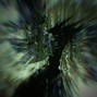 dvng3xn - HID3 (021)
