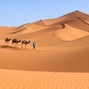 Hris - Desert