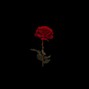 Roszy - Take Me To The Doctor