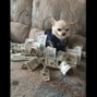 DJMELO - MONEY [prod.MELO & SILASSDSD]