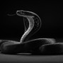 Blue Seed Beats - "Black Mamba" Drill Type Based Hardcore