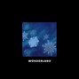 amaan - wonderland