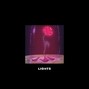 amaan - lights