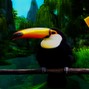 Millennium - Bird Farming