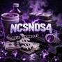 NCSNDS1 - NCSNDS4 