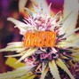 MASTR Productions [Buy2Get1FREE] (DM Insta for Exclusives) - Another One - Jetsonmade x Da Baby x $uicideboy$ Type Beat