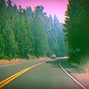sage - do i need more help