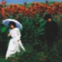 nin_tp - warmth of u