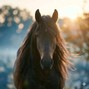 Ino Got Beatz - Horse  Welcome To American 