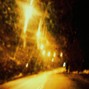 lukasmichaldamian - Golden Rose