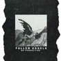 NS Production - Fallen Angels