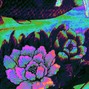 cobalt - everybody knows (convolk x indie rock type beat)