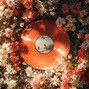 marblemaze16 - MY ALL