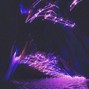 16purpp - Planet