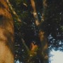 dapowzabeats - dream island 160 c#maj+50cents, wa pow