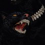 cattus.2xiv - 🔥Best mall🔥