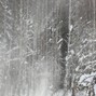 freezingmxxn - #winter anomaly (148)