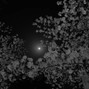 goodbye ☆ - bullet hole
