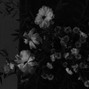 goodbye ☆ - iron lung