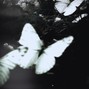 goodbye - Hennessy
