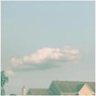 emvee the dog - lull