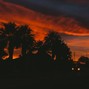 LESISMORE - Citradelic Sunset