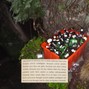 newyearseve - branch 140