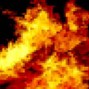 Scorch - SSS