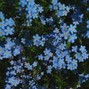 blume.rsk - Romsii x Videoclub Type Beat "VITESSE"