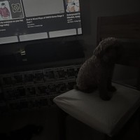 imisstheseal