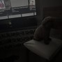 imisstheseal - chicago 155