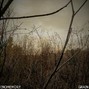 endmemory - grain