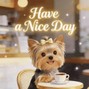 zumzah - have a nice day (F# Minor)