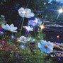 proddopam3an - Come By_136 Dopa 