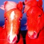 r7ce - Fire Horse (prod. r7ce)