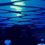 seashotel - ship - 144 bpm