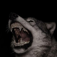 silversur7erbeatz96