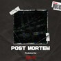ANSEM - Post Mortem | Dark Trap | (-10 LUFS)