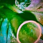 ansho - sparked clique 150 bpm d#maj