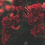 BEAT GODDESS - JURO