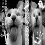 schpecky beats - feline tower