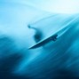 schpecky beats - surfing